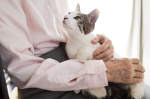 Pet friendly assisted living facilities